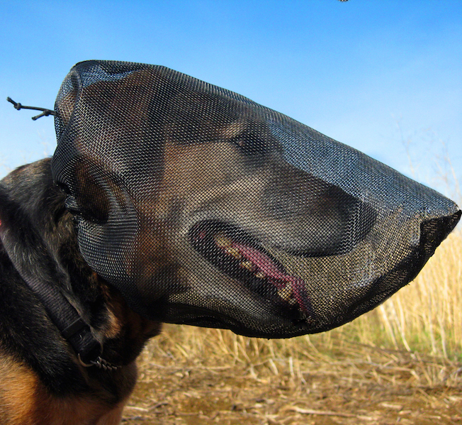 OutFox Field Guard – OutFox For Dogs